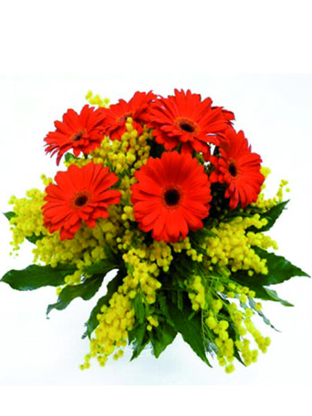 Bouquet di gerbere e mimosa