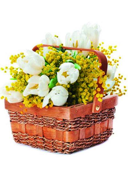 Cesto di tulipani bianchi e mimosa