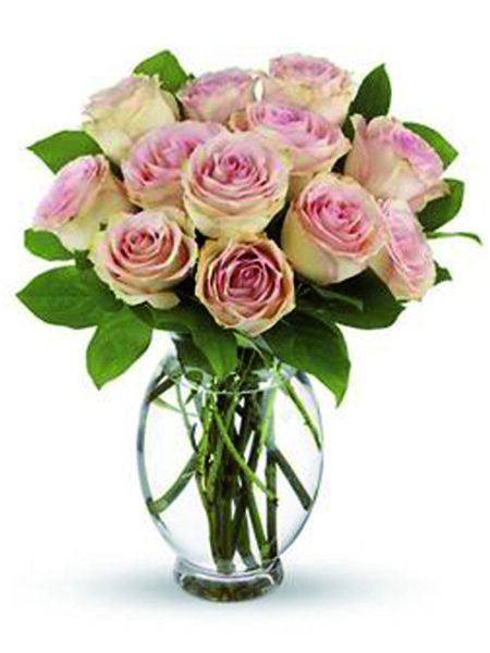 12 rose rosa chiaro