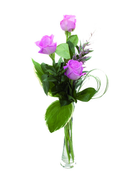 Tre rose rosa