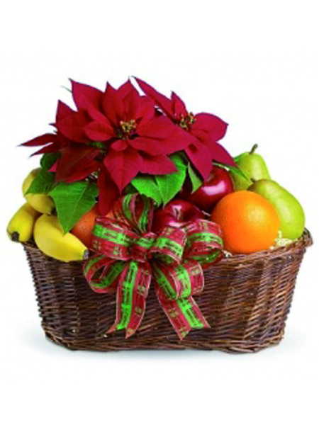 cesto di frutta con stella di natale
