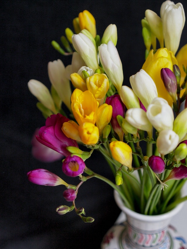 fiori gialli