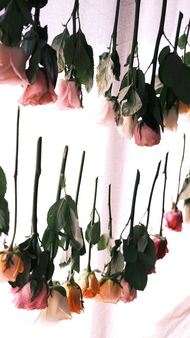 come essiccare i fiori