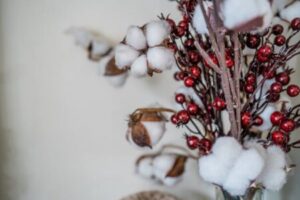 bacche rosse