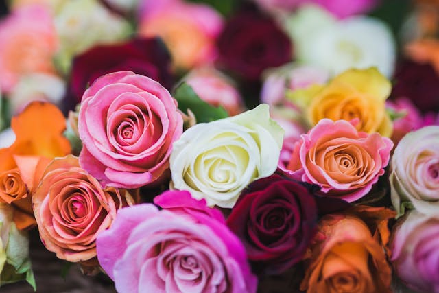 bouquet di rose colorate per comunicare amore