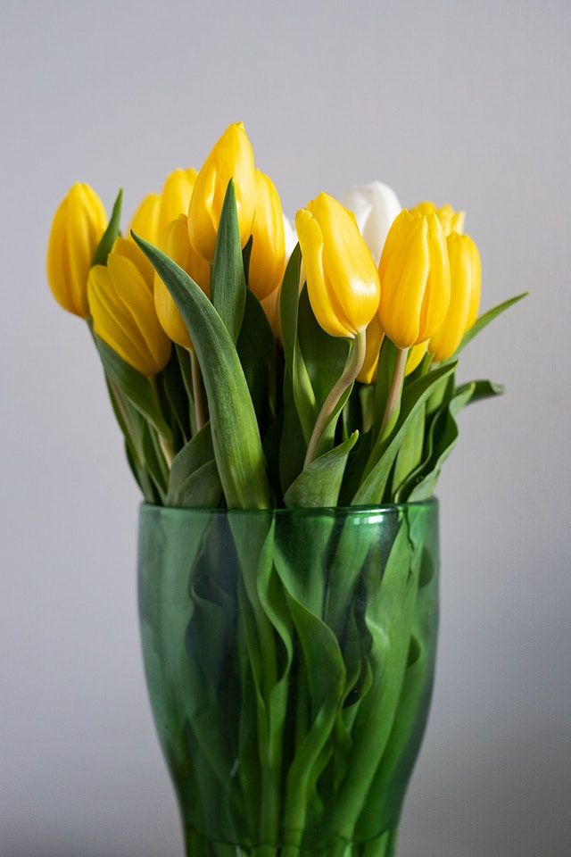bouquet di tulipani gialli